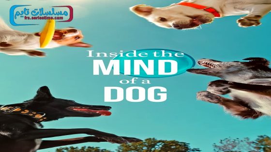 فيلم Inside the Mind of a Dog 2024 مترجم
