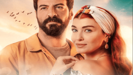 مسلسل نجمة الشمال الحلقة 31 قصة عشق