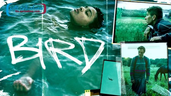 فيلم Bird 2024 مترجم