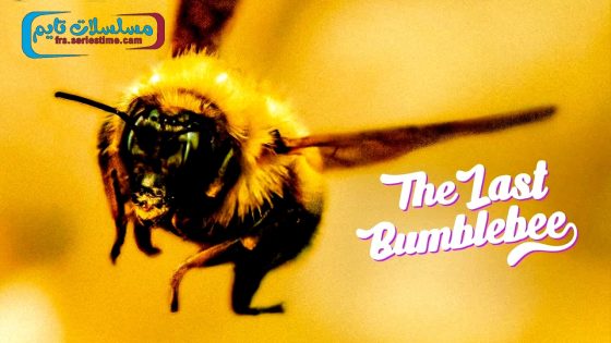 فيلم The Last Bumblebee 2024 مترجم